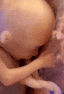 human embryo, baby