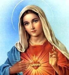 What is the immaculate heart of Mary?