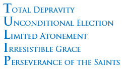 Tulip of Calvinism, total depravity, unconditional election, limited atonement, irresistible grace, and perseverance of the saints