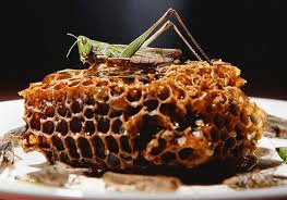 what was John the Baptist diet locust