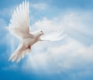 Holy Spirit dove on blue background