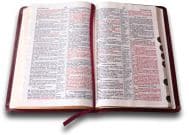 Open Bible white background